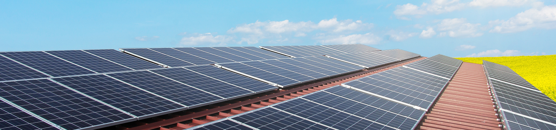 头号玩家电脑版下载